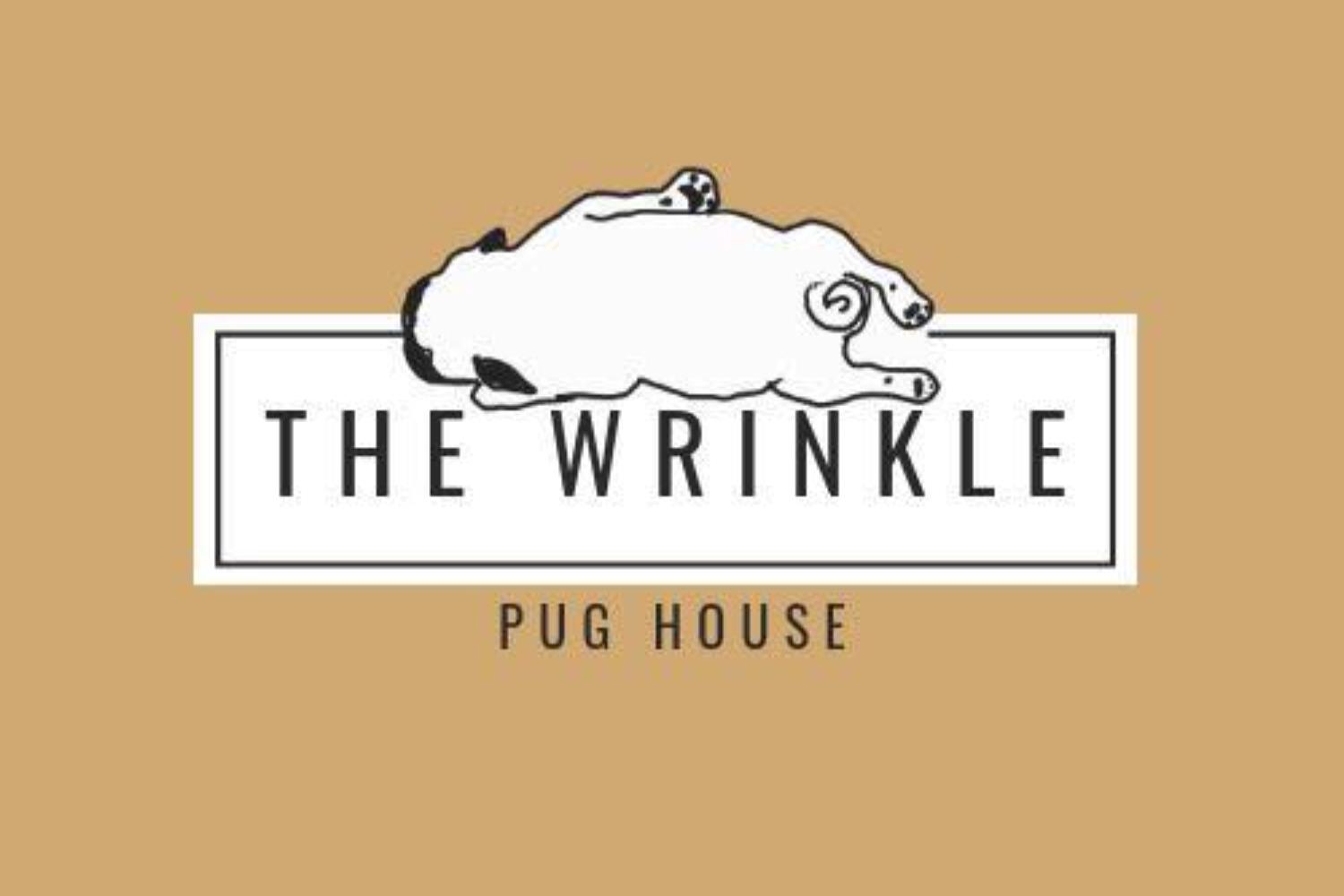 The Wrinkles Pug House จุฬา 6