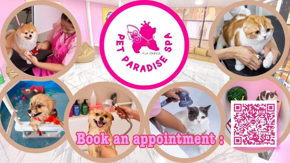 Pet Paradise Spa