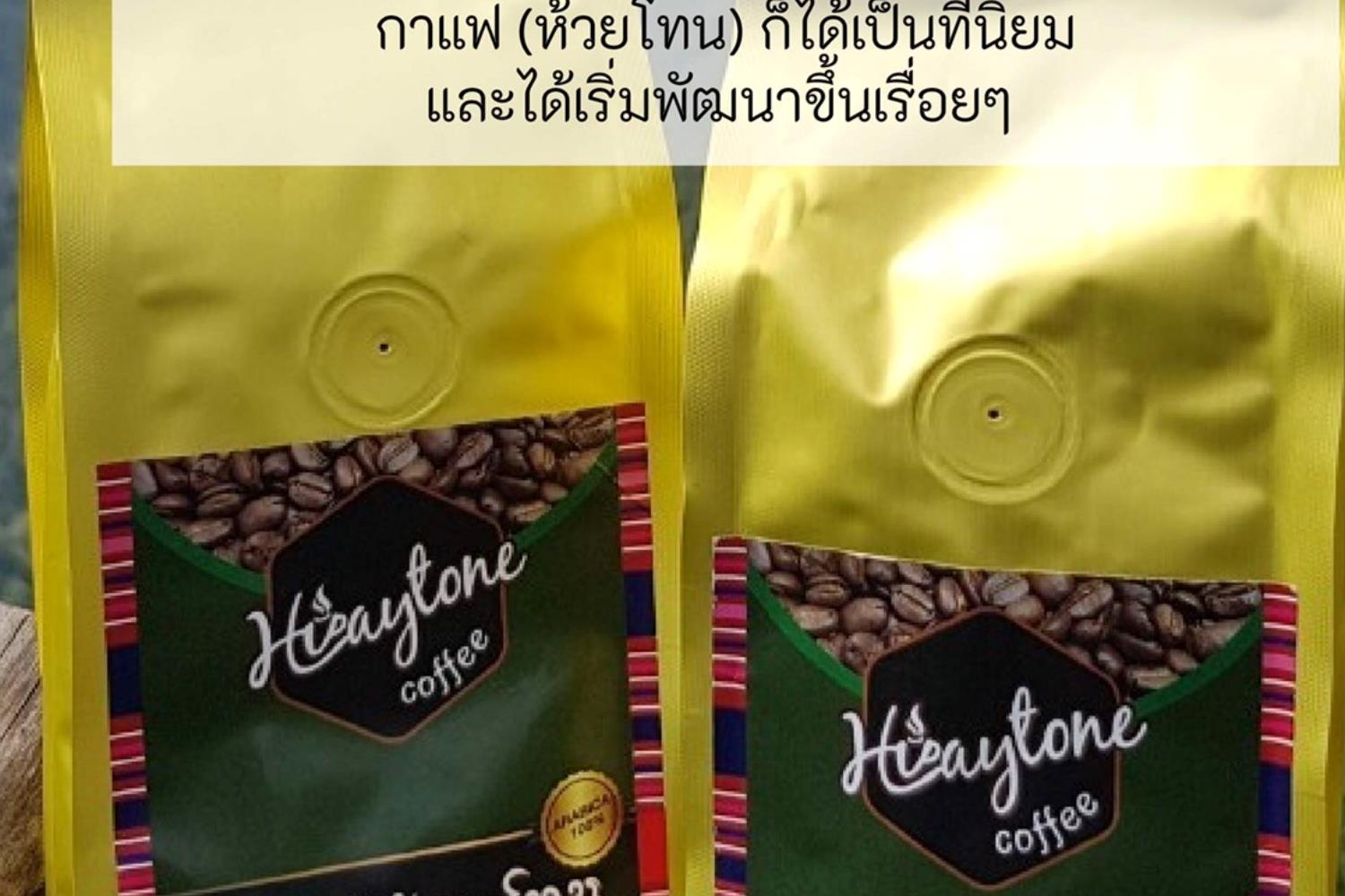 แหล่งปลูกกาแฟบ้านห้วยโทน อำเภอบ่อเกลือ