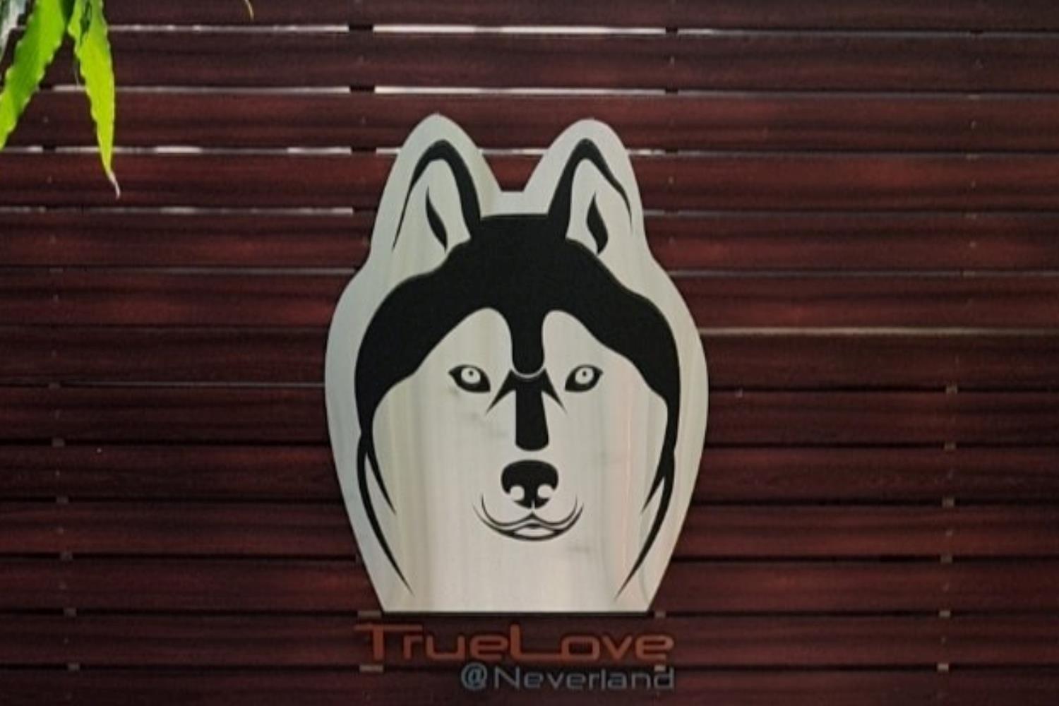 True Love at Neverland Siberians Cafe