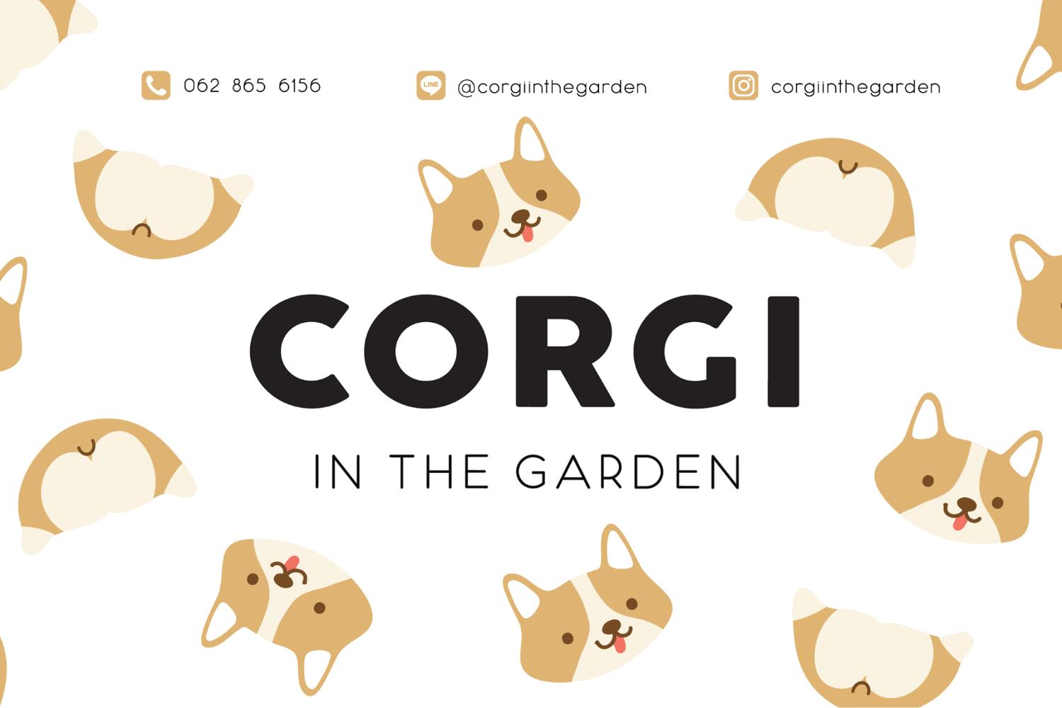 Corgi in the garden 